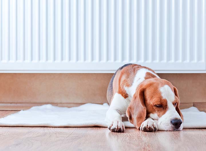 4 tips for reducing home heating bills